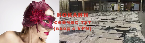 прущие грибы Белокуриха