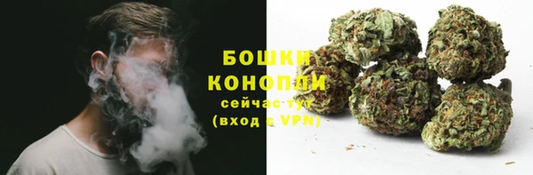 метадон Богданович