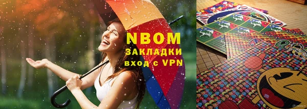 прущие грибы Белокуриха
