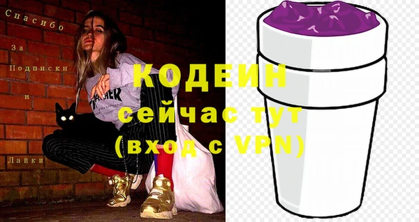 метадон Богданович