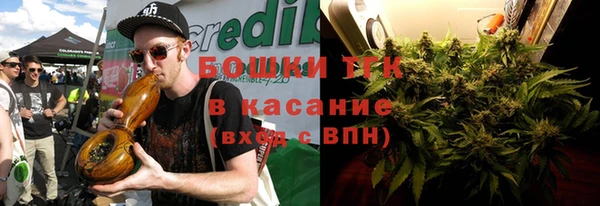 прущие грибы Белокуриха