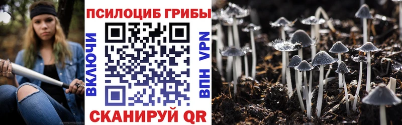Галлюциногенные грибы Cubensis  Гусь-Хрустальный 